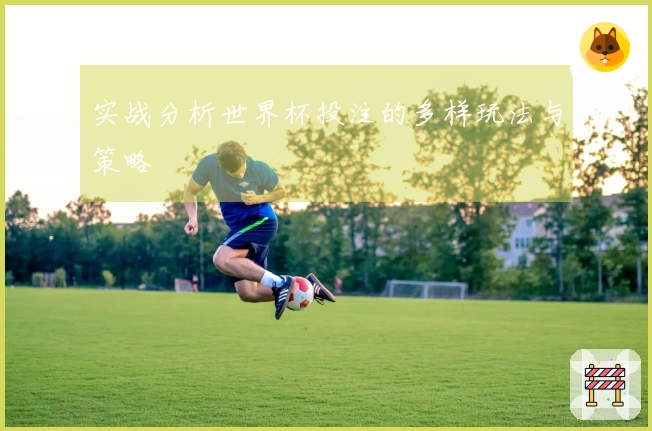 实战分析世界杯投注的多样玩法与策略