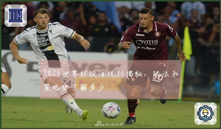 2026世界杯投注规则揭秘，玩法和策略你了解多少