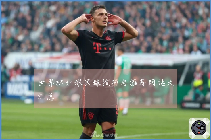 世界杯让球买球技巧与推荐网站大汇总