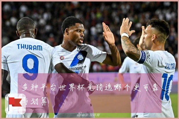 多种平台世界杯竞猜选哪个更可靠与划算